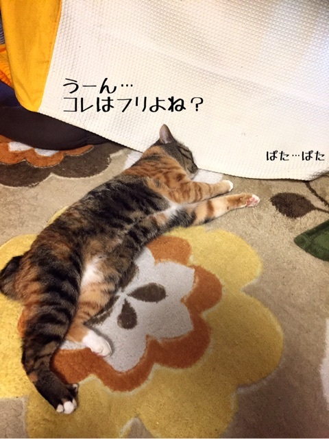 {B7397103-B9FC-48E6-9CC0-5E73C9507139}