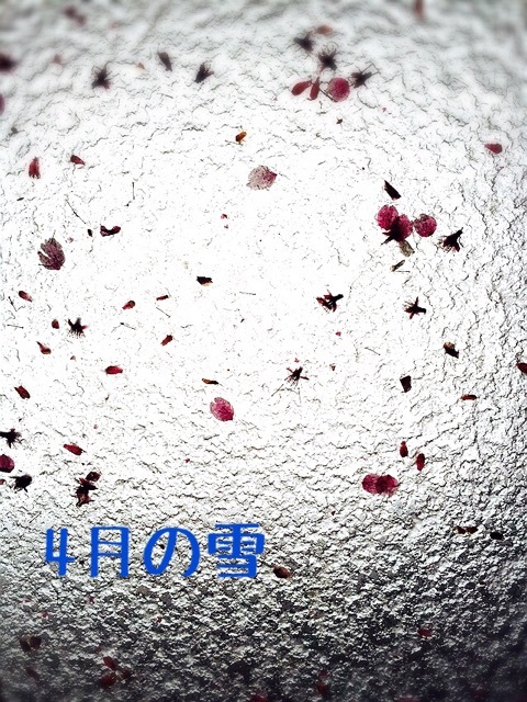 {575C216F-8039-4391-8B63-E88B919F3813:01}
