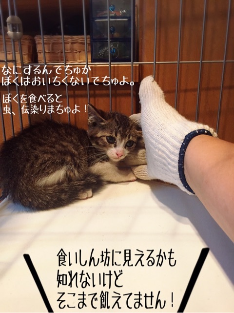 {F901198B-8650-45C8-A294-3FCDF323396F}