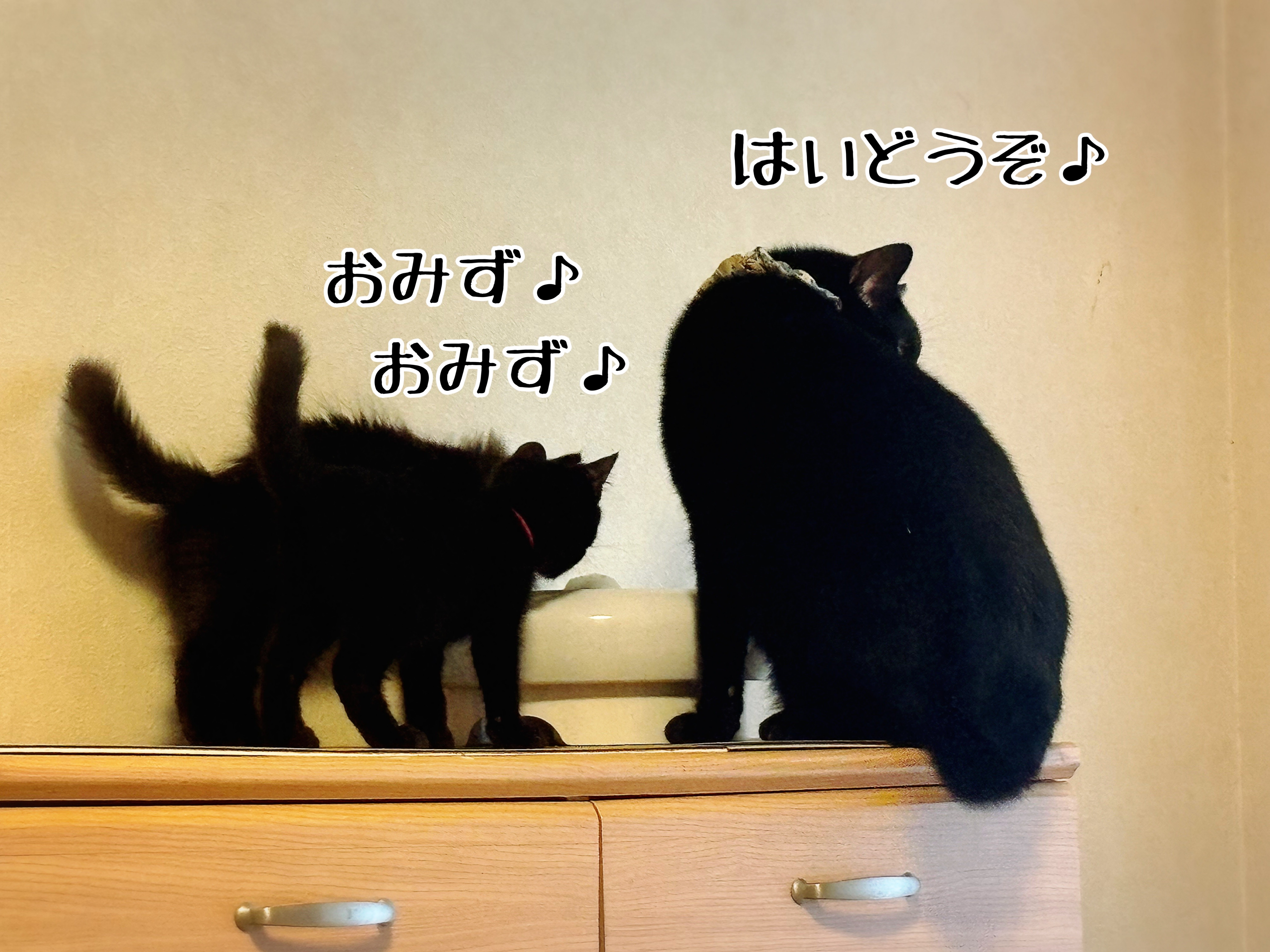 Amazon.co.jp: ZZPT ゴッホ ウォールアート - 星月夜猫