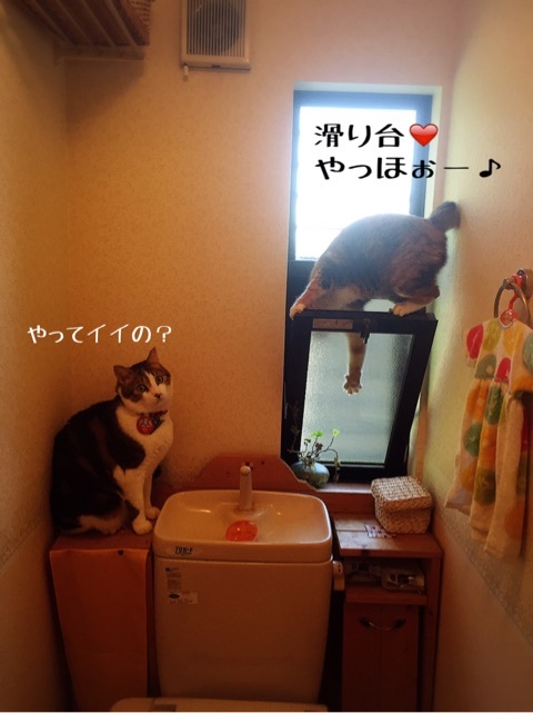 {BF558B06-287D-477F-9EE0-6239B37AA425}