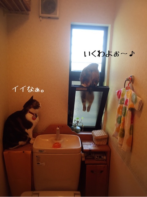 {089675E1-67C7-464A-A040-14FA1778D2FD}