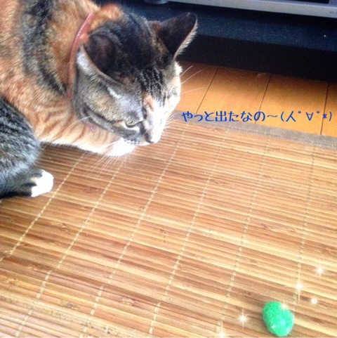 {E3E7B53F-F68A-4B50-8104-CEE90DC78EBE:01}