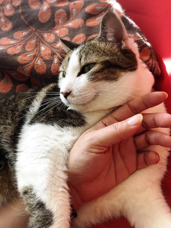 IMG_1629