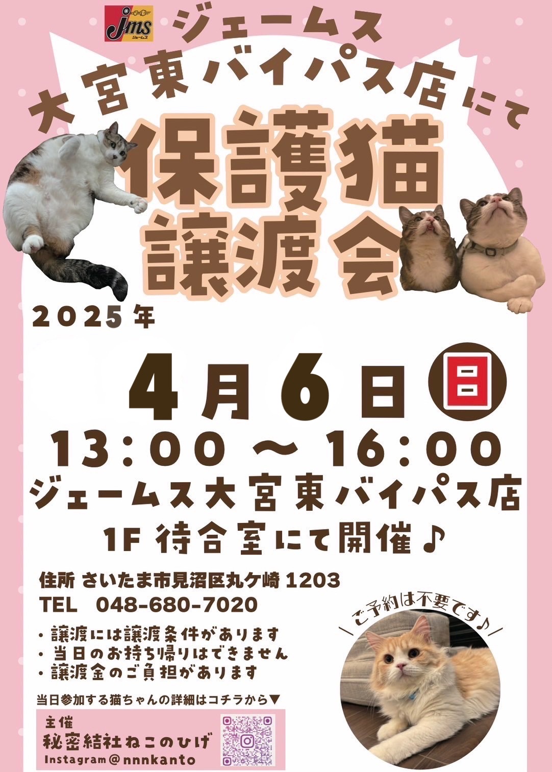 昨日は秘密結社ねこのひげミニミニ譲渡会♪ : 猫とお酒と日々のこと