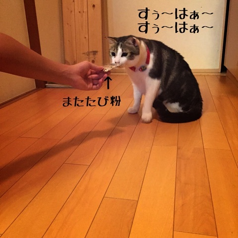 {E97BC76F-1427-436A-928B-97D56D2B399A:01}