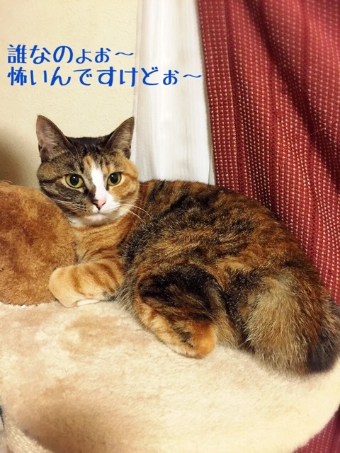 {A6015334-E922-4BB2-95EE-02511354C134:01}