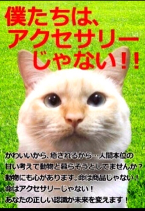 {127C508B-5A81-427E-977D-E4C789117939:01}