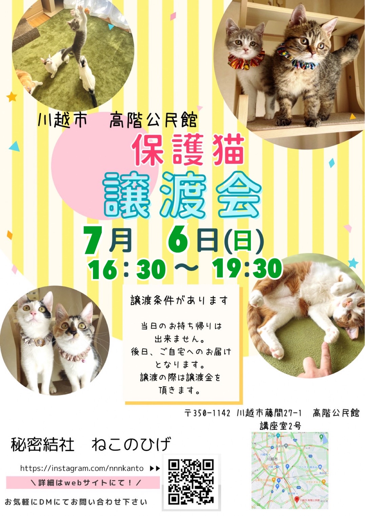 ♡シュウさま♡ シュウさまのウチの子記念日だった。 : 猫とお酒と日々のこと