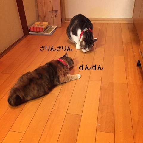 {C5E0A7E5-735B-4FB9-AEBA-53F2C56F57BD:01}