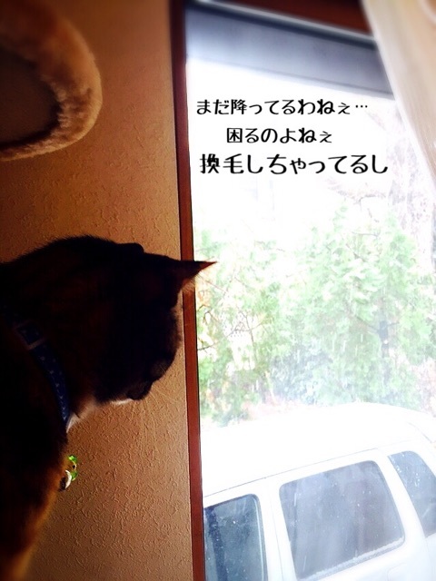 {D734C77D-E42F-4C5D-9563-C5A951D7A91A:01}