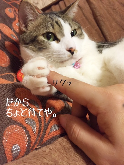 {6F97332C-BFD0-4AFB-9DC4-AAD966EC0F89}