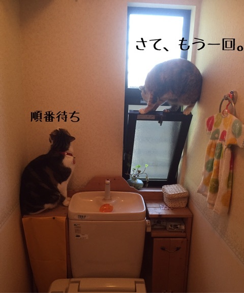 {80397B90-2786-4E96-BC94-6748EC775659}