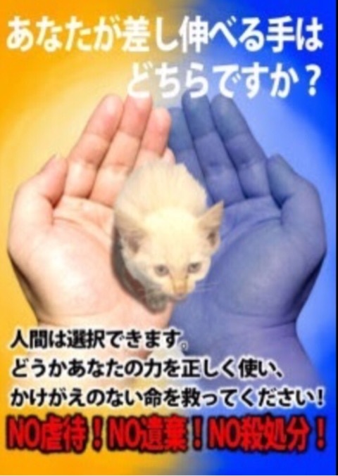 {9045E058-1337-46F1-918A-71DF722D8114:01}