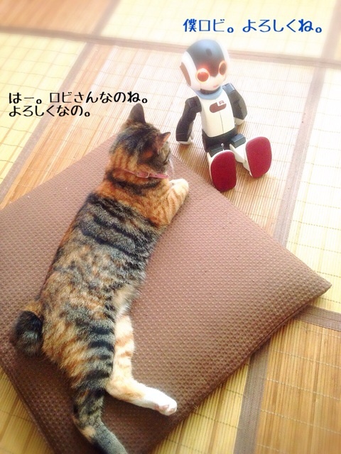 {6F43D47F-8C18-40F4-BC70-13FB19B371D6:01}
