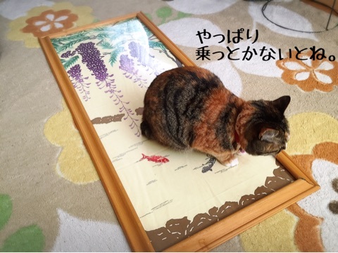 {A8242C8E-88AC-486B-A2AA-C7EFB9DFEFD0}