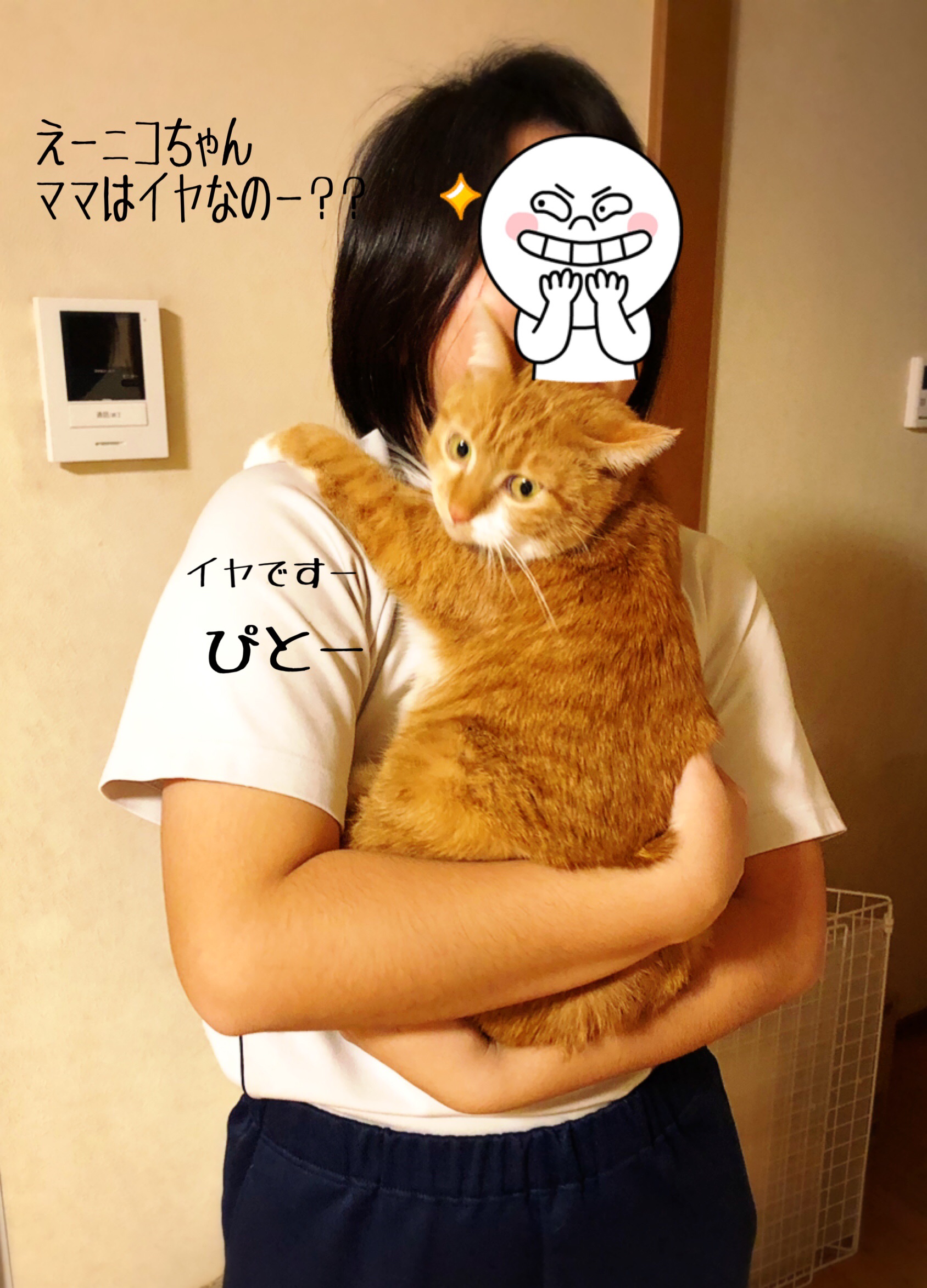 ニコアラとマウンティング女子 猫とお酒と日々のこと Powered By ライブドアブログ