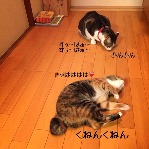 {65CE80FB-5751-4965-87B6-9103DCCE1959:01}