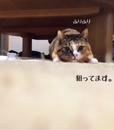 {DD7F5EB1-08DF-46E7-BE52-4367FA64A8BE}