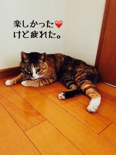 {B1E46CF3-D551-455B-B2C5-B0003B9B6D99:01}