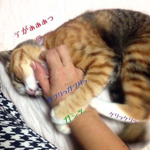 {04701FA4-A76B-403C-BDAA-C3E5FA958833:01}