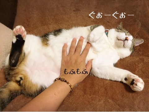 {BDCDA29A-400F-4157-A838-2FE713A138C1}