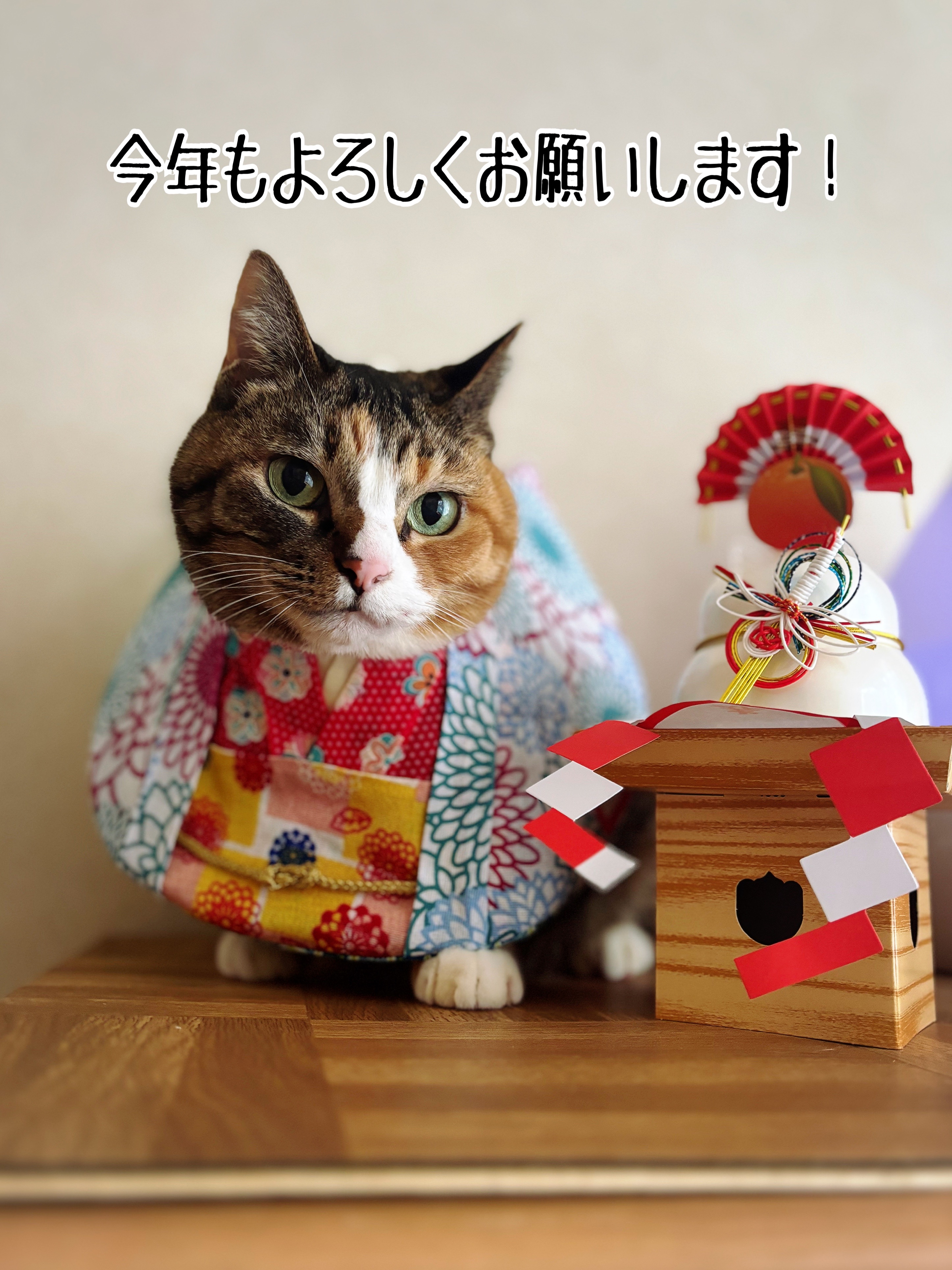 2026年あけましておめでとございます♪ : 猫とお酒と日々のこと