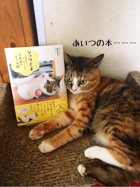 シュウさま専用ページ シュウさま本 2回目更新 : 猫とお酒と日々のこと Powered by