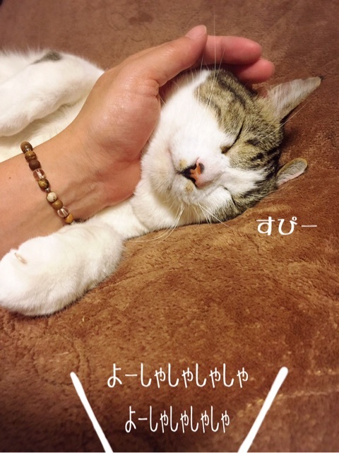 {E47C0BEB-0AE8-47B6-B607-60B760E651EC}