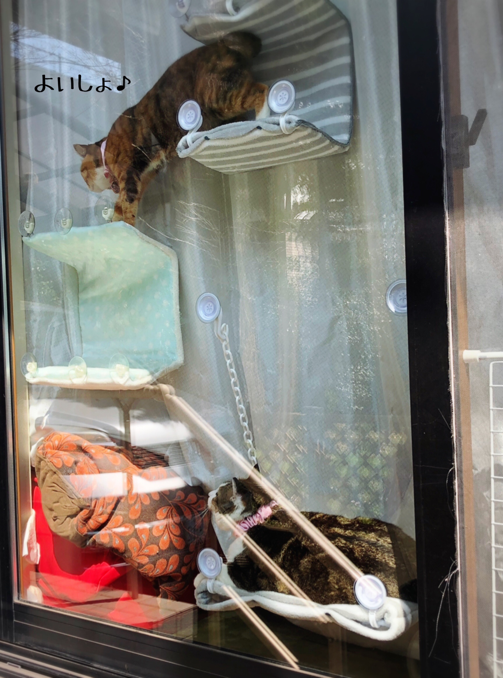 貼るベッドの作り方 猫とお酒と日々のこと Powered By ライブドアブログ