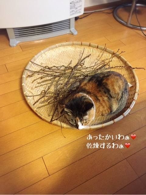 {0EA2A4E9-3733-404D-8C4D-F3D8B569B6A5:01}