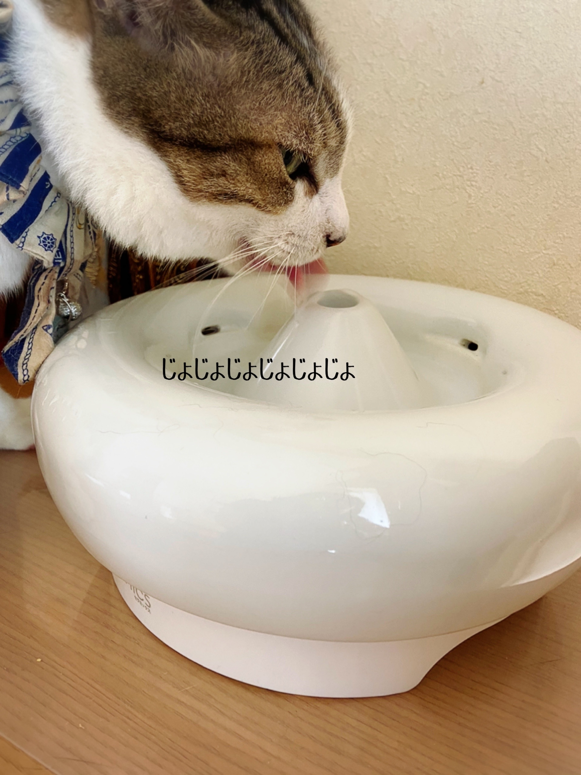 楽天スーパーセールで買うモノ 怖いわぁ 猫とお酒と日々のこと Powered By ライブドアブログ 楽天スーパーセールで買うモノ 怖いわぁ 猫とお酒と日々のこと Powered By ライブドアブログ