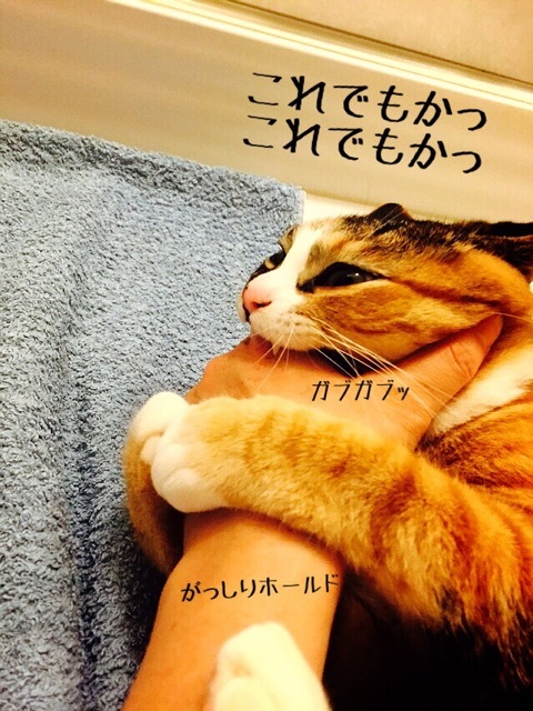 {884D3D1B-B42B-47B5-9106-017C5998074E:01}