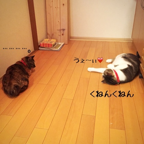 {C46E83F1-6309-4B4B-B7E1-AF93F54A36CB:01}