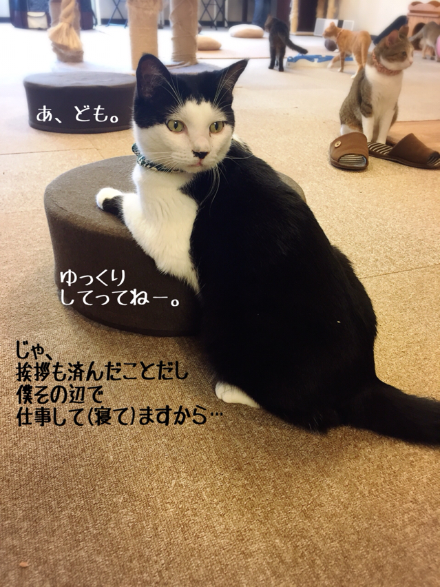 川越散策とねこかつのススメ 猫とお酒と日々のこと Powered By ライブドアブログ