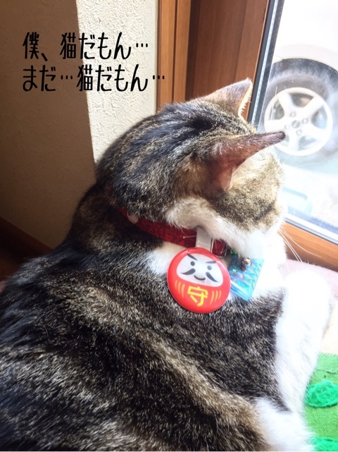 {53B4B3C5-894A-4EA6-96FB-B335C5973087}