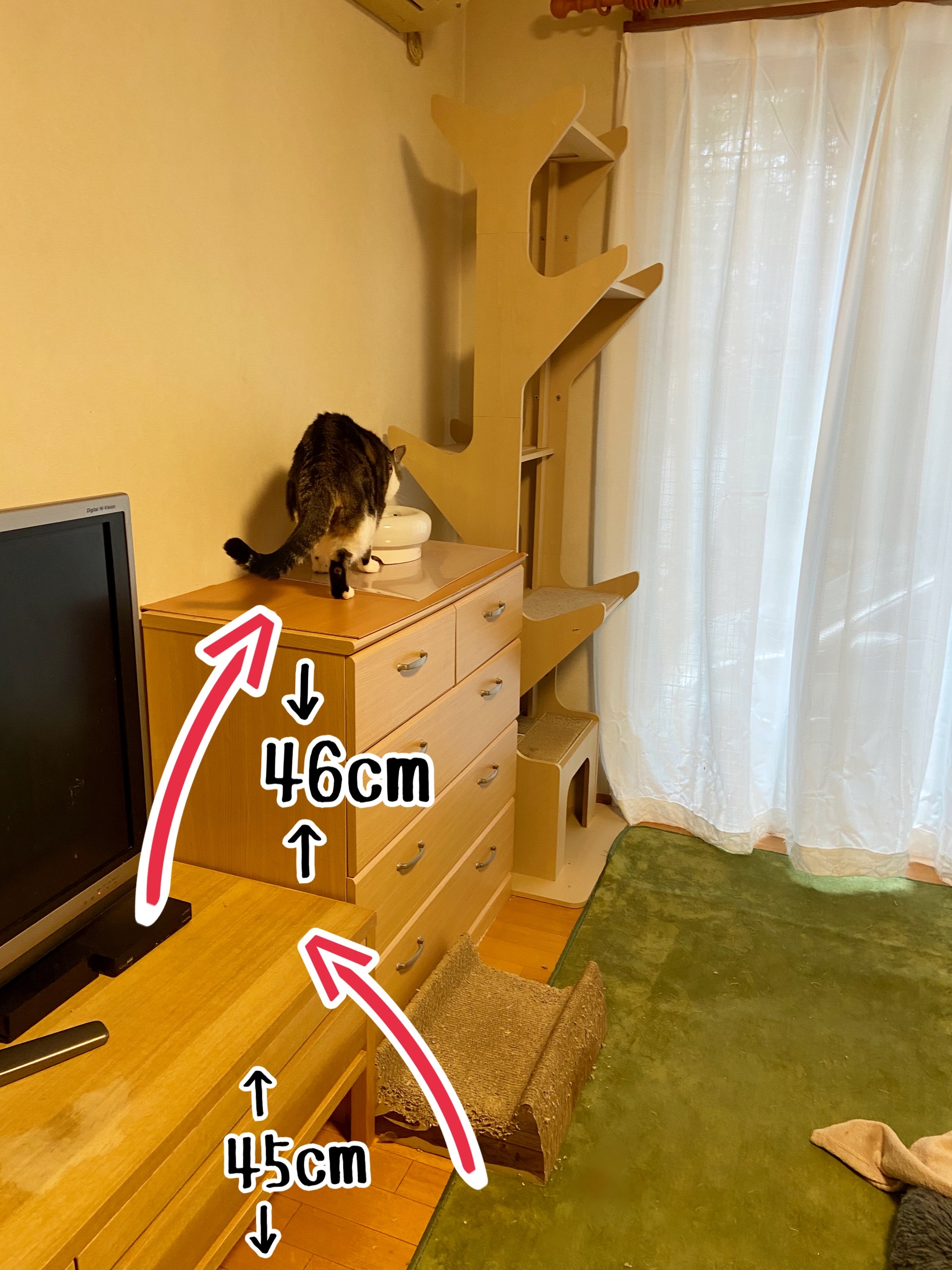 シュウさま専用ページ makeyourday_official sama #PR （⚠️私物あり） #子供服