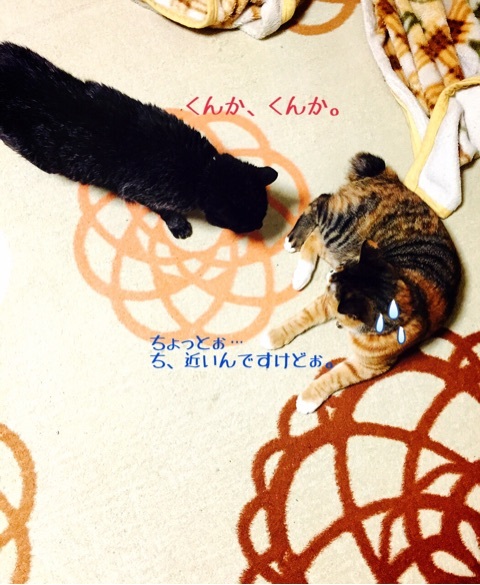 {4D506892-A256-488C-AC86-45B236FD90CA:01}