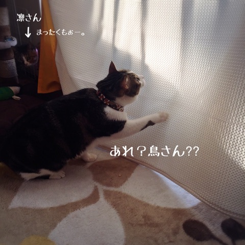 {A1CD2CE4-48C6-4E9F-BF16-1987C6EA1475:01}