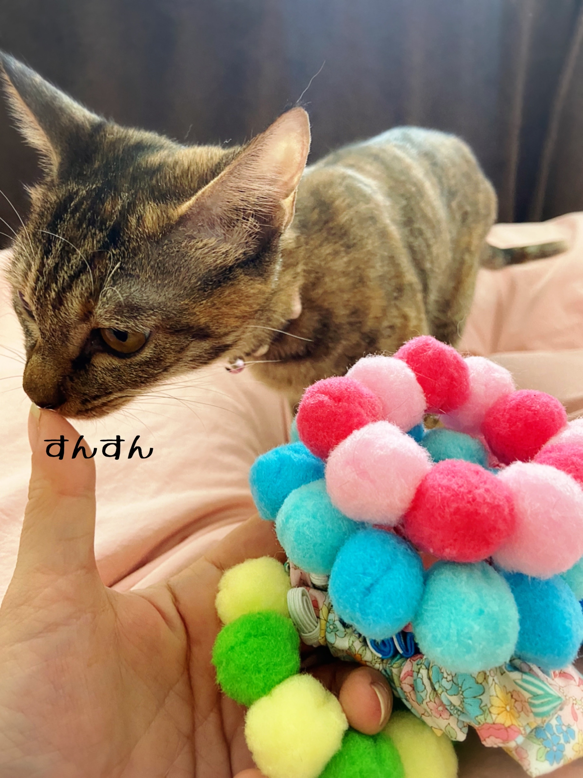 勝負首輪とは と その作り方 猫とお酒と日々のこと Powered By ライブドアブログ 勝負首輪とは と その作り方 猫とお酒と日々のこと Powered By ライブドアブログ