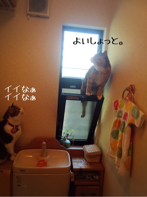 {8C1039C5-2CA7-4225-959C-26C591BB74D0}