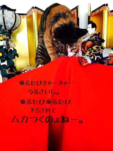 {E619C21B-6FF4-4DD5-BA6F-D1347D550664:01}