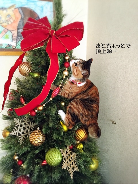 {BBA68913-34AA-4B7F-9804-39D6B90B4759:01}