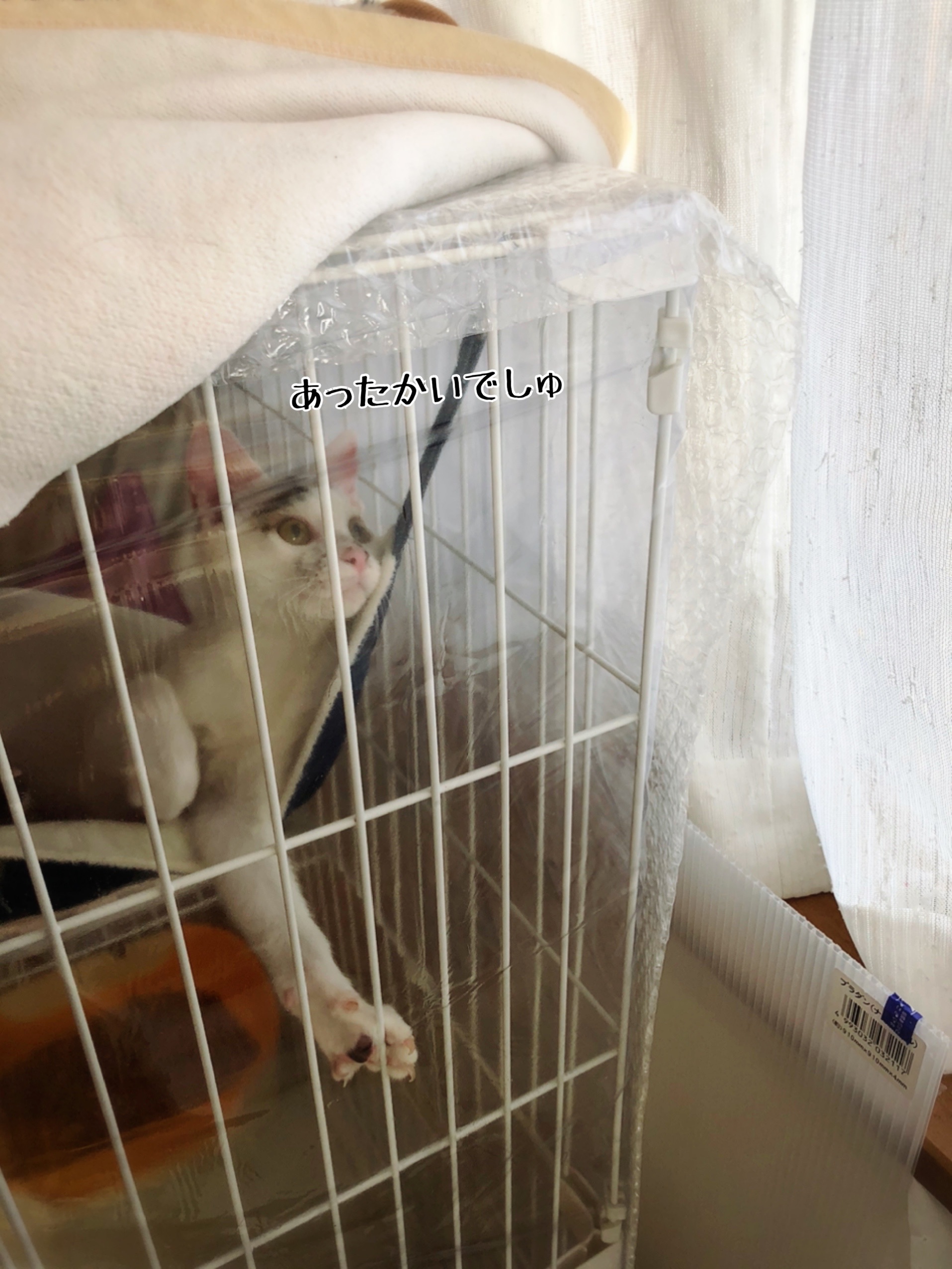 ケージの冬支度 猫とお酒と日々のこと Powered By ライブドアブログ