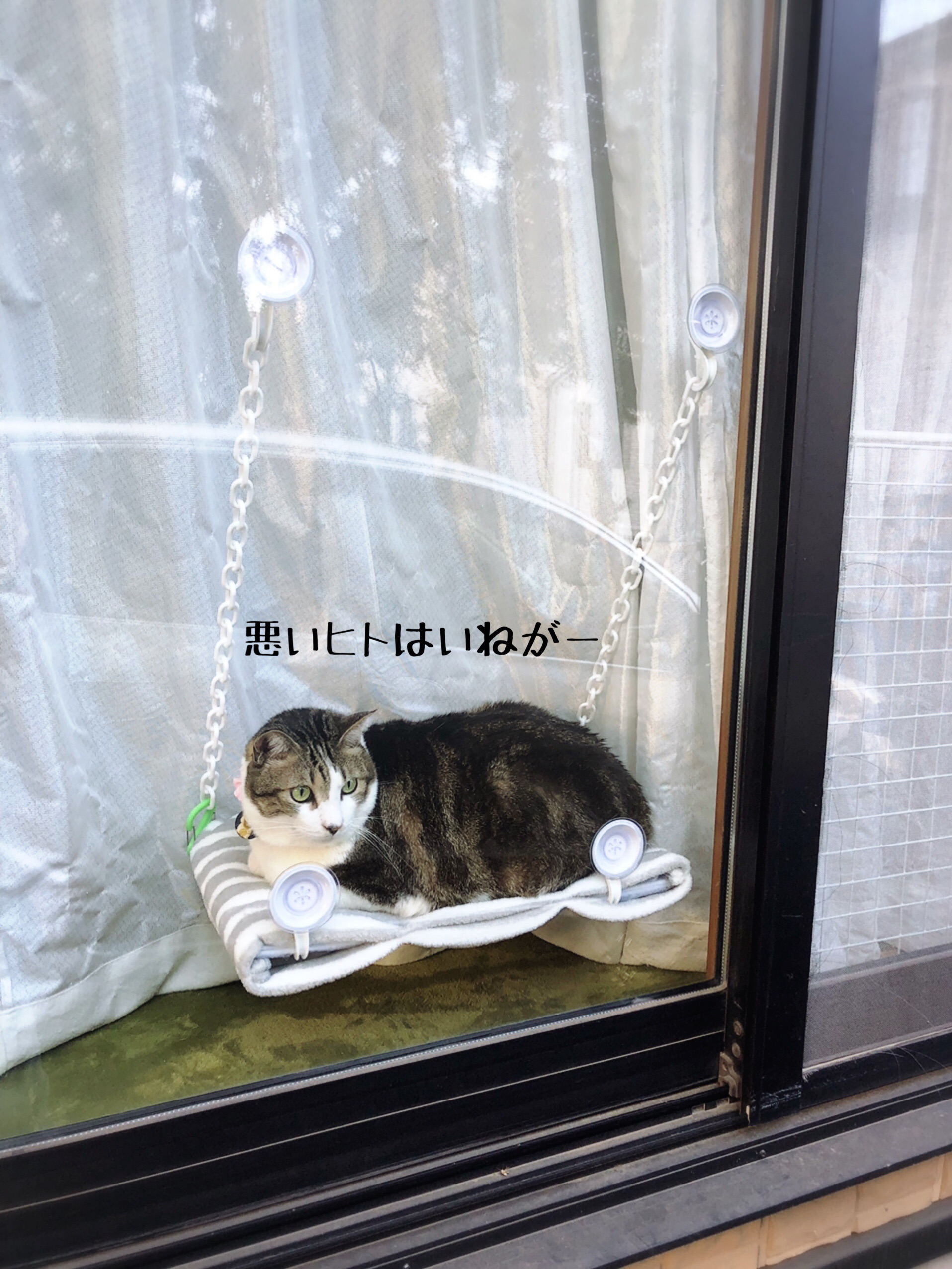 とても簡単。窓ベッドⅡを作ってみた。 : 猫とお酒と日々のこと Powered by ライブドアブログ
