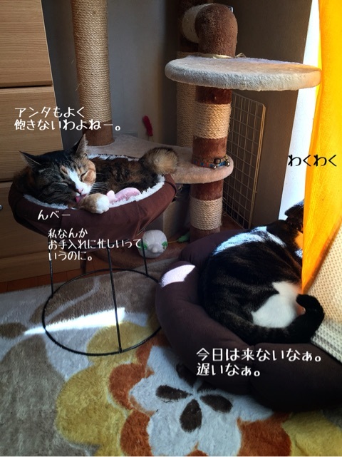 {563B42B1-C130-4E4C-9C77-1CB32FBCB866:01}