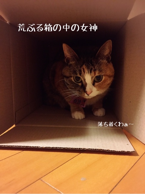 {BB84C8C2-B96A-41F2-A5FC-2776E3EE7990}