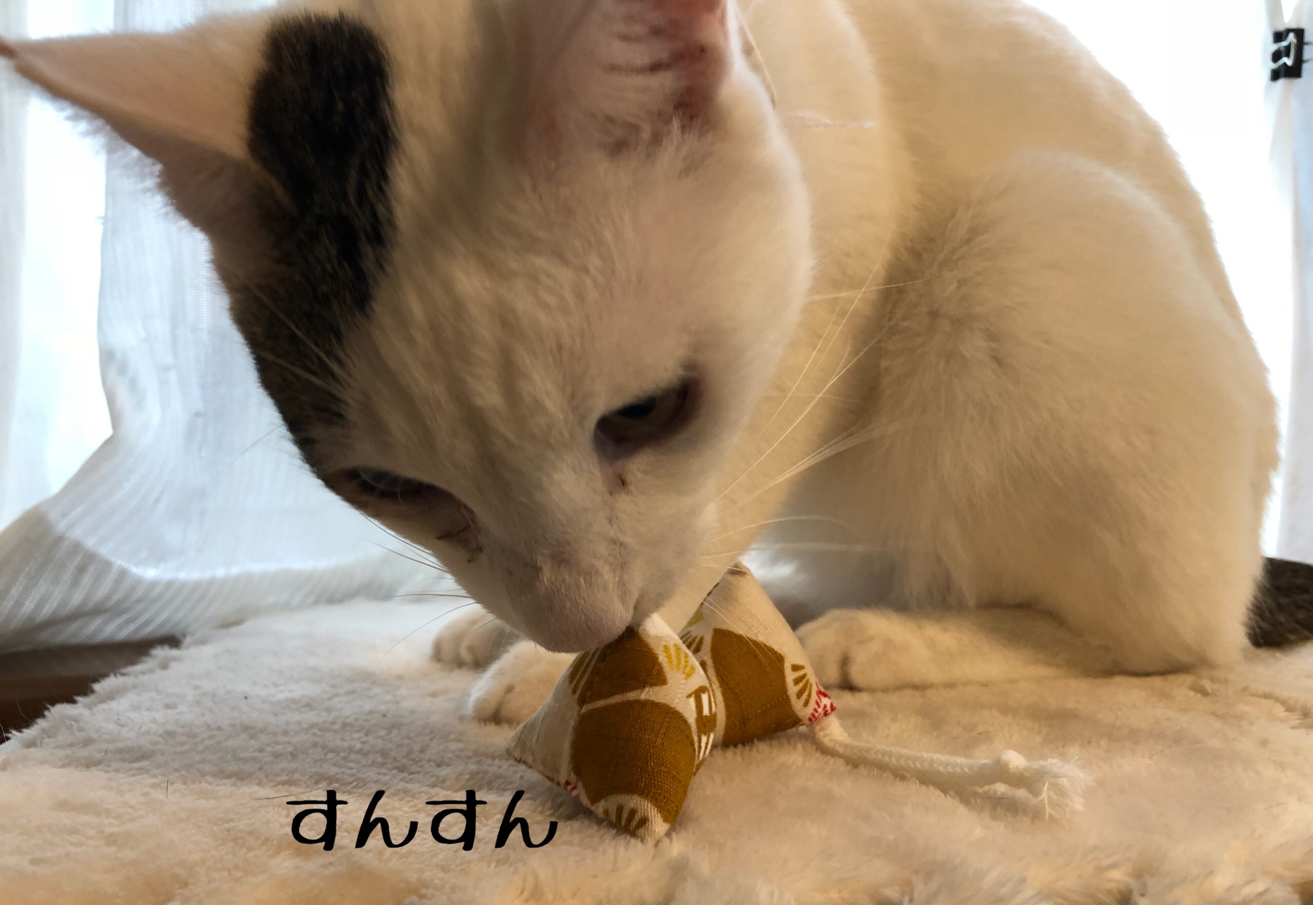 猫様おもちゃ マキビシの作り方 猫とお酒と日々のこと Powered By ライブドアブログ