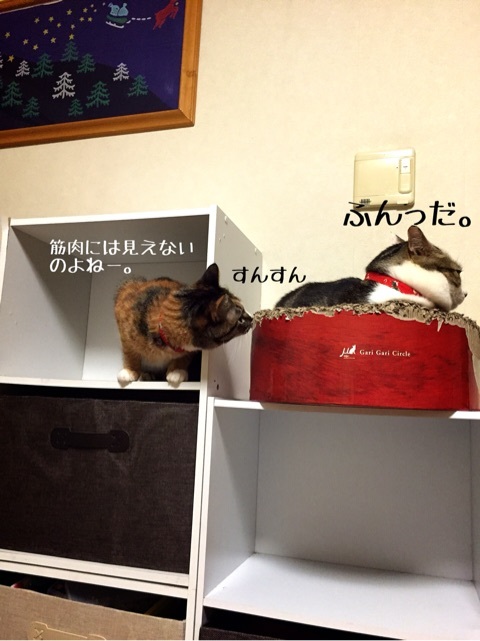 {3D1240D3-D463-4068-986E-DFF616765925:01}