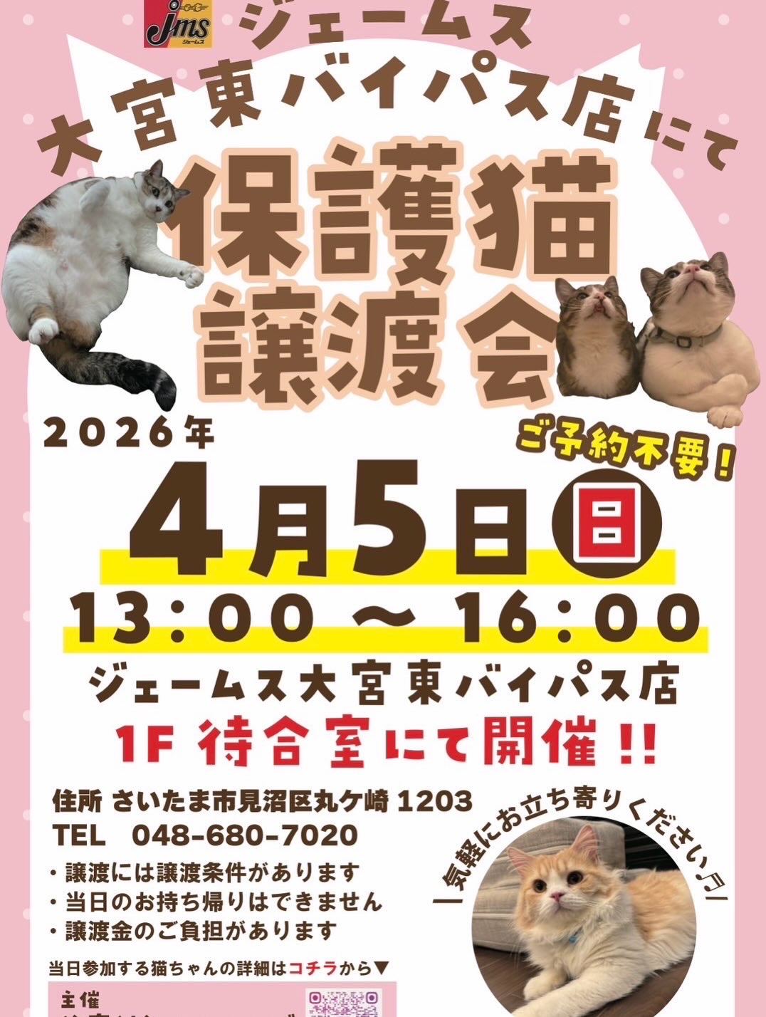 何年経っても分からない : 猫とお酒と日々のこと Powered by